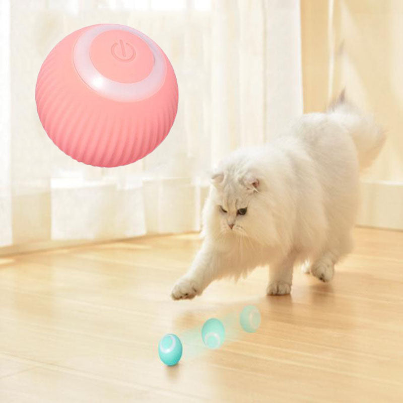 Little Friends™ Interactive Cat Ball